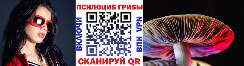 Галлюциногенные грибы прущие грибы  Таганрог 
