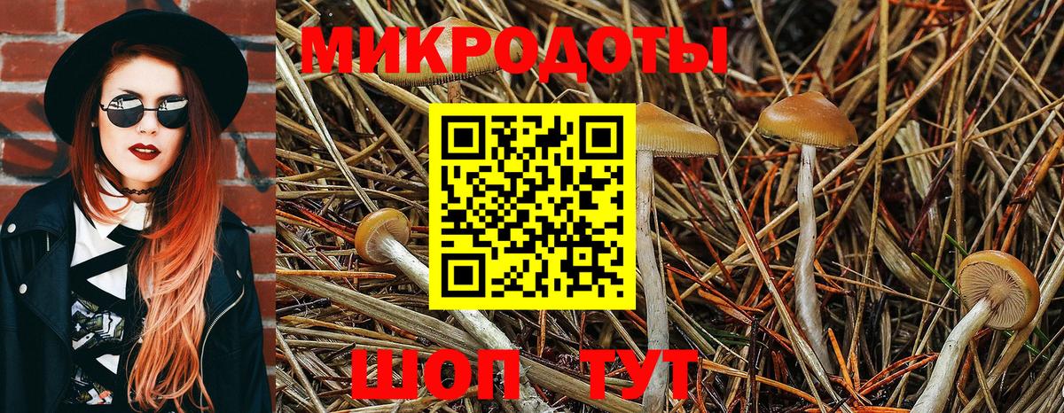 Таганрог  Псилоцибиновые грибы Magic Shrooms  Вход с VPN 